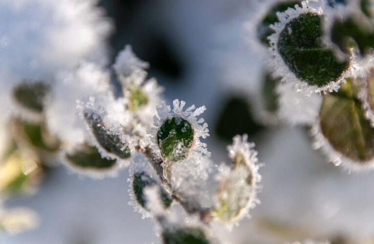 Синоптики розповіли, якою буде погода на Різдво
