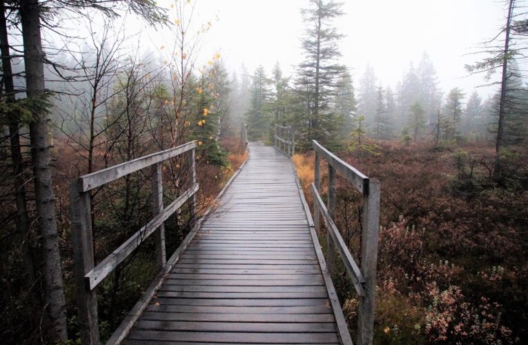 Синоптики розповіли, якою буде погода в Україні на вихідних