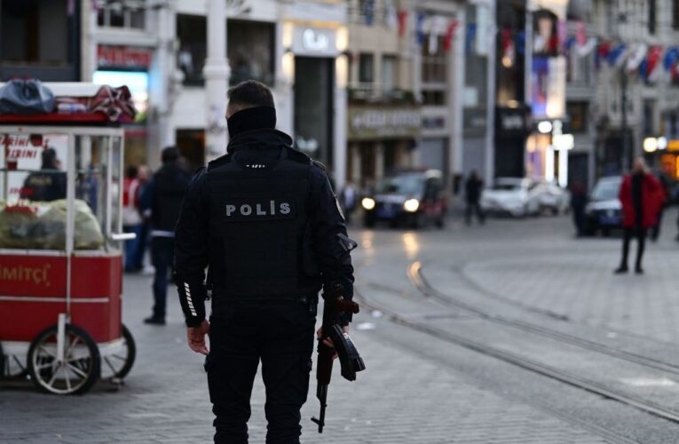 В Туреччині затримали 115 прибічників ІДІЛ