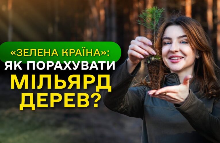 МІЛЬЯРД ДЕРЕВ зʼявився в Україні / як ДП “Ліси України” реалізували програму ЗЕЛЕНА КРАЇНА?