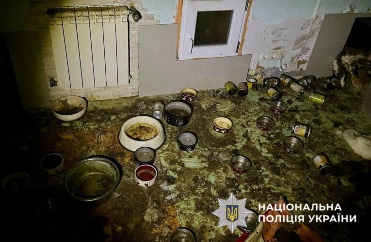 Загибель понад 50 котів на Київщині: стали відомі нові деталі