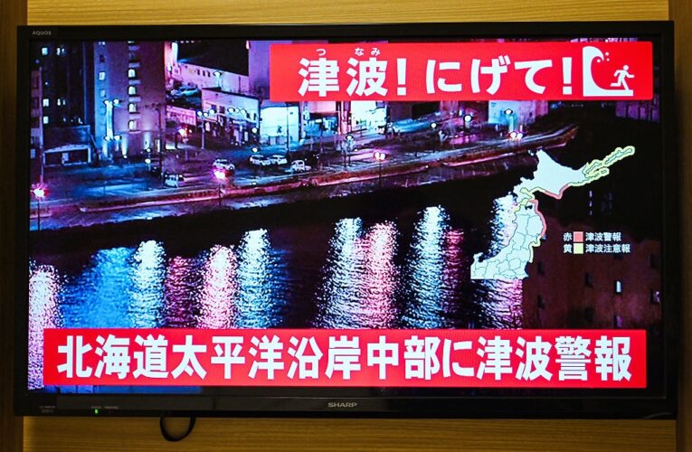 Землетрус в Японії спричинив 70 см цунамі