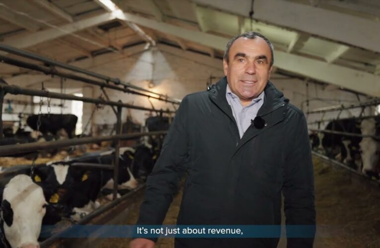 ARISE: Історії стійкості – відеопроєкт про результати підтримки українського бізнесу