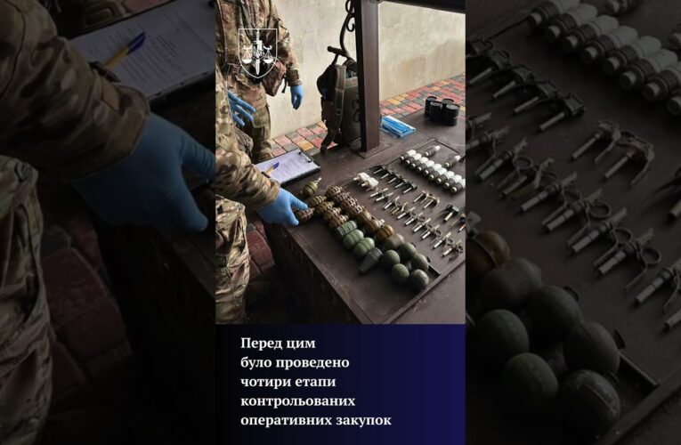 Незаконний збут зброї та боєприпасів припинено на Київщині