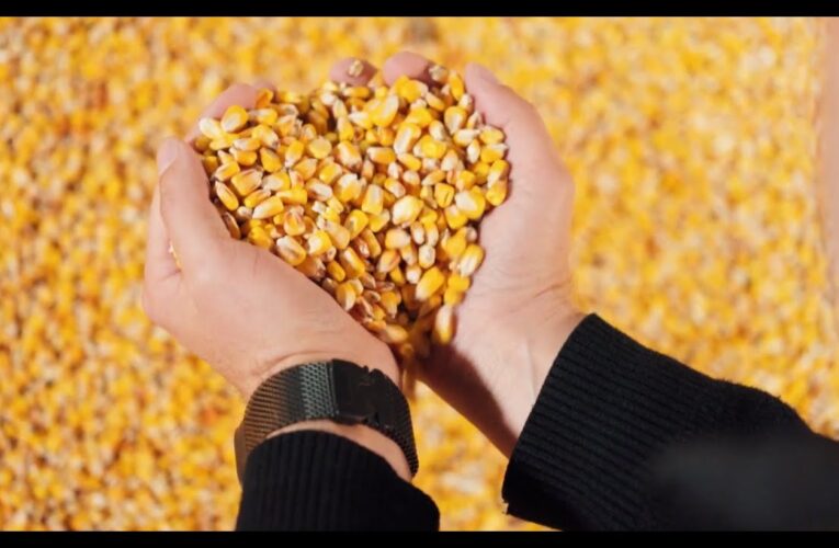 ARISE: Історія стійкості фермера з Вінниччини