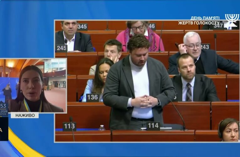 Важливі рішення ПАРЄ: захист прав людини та допомога енергосистемі | Марія Мезенцева-Федоренко