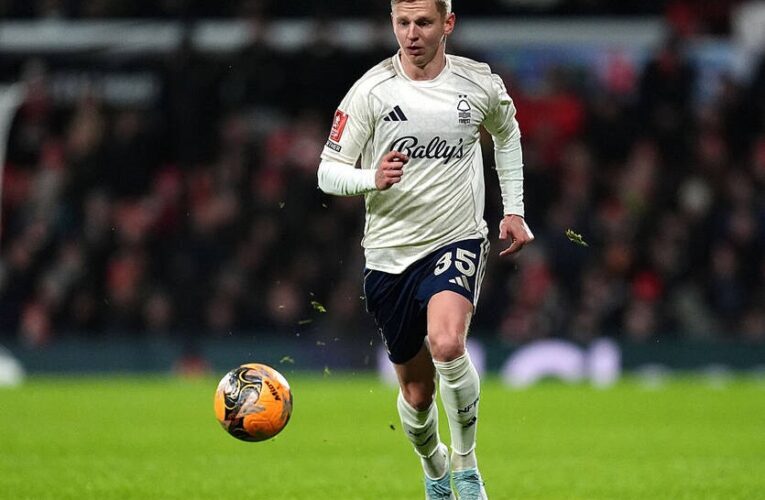 Аякс переглянув умови трансферу Зінченка