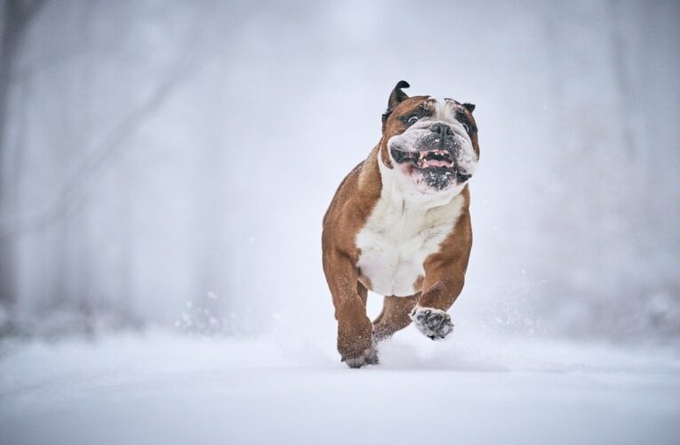 Гороскоп для всіх знаків зодіаку на 15 січня 2026 року