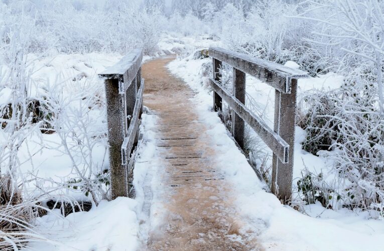 Гороскоп для всіх знаків зодіаку на 23 січня 2026 року