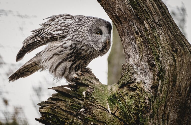 Гороскоп для всіх знаків зодіаку на 29 січня 2026 року