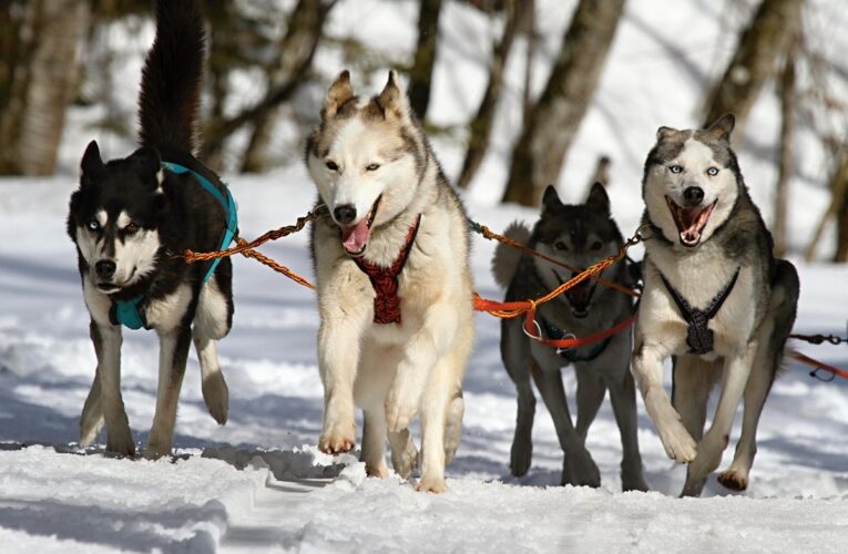 Гороскоп для всіх знаків зодіаку на 30 січня 2026 року
