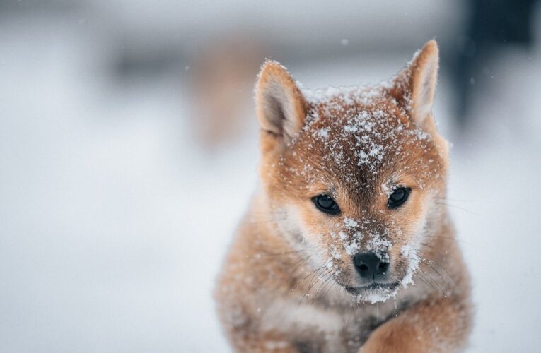 Гороскоп для всіх знаків зодіаку на 7 січня 2026 року