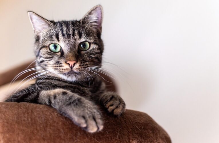 Гороскоп для всіх знаків зодіаку на вихідні 31 січня – 1 лютого 2026 року