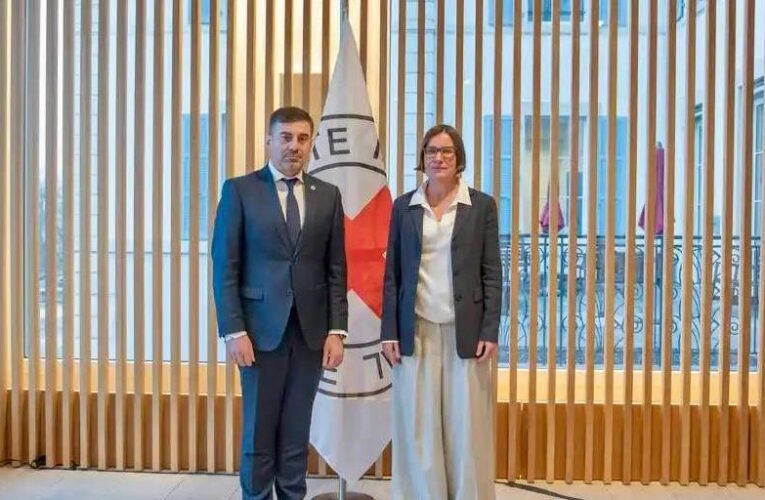 Лубінець запросив керівництво Червоного Хреста в Україну