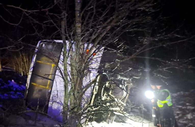 На Чернігівщині перекинувся автобус: 11 потерпілих