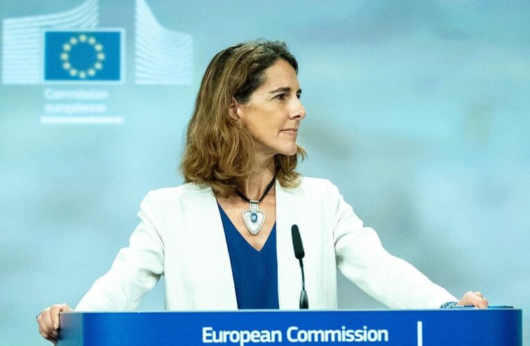 На “певному етапі” доведеться провести перемови з Путіним – ЄС