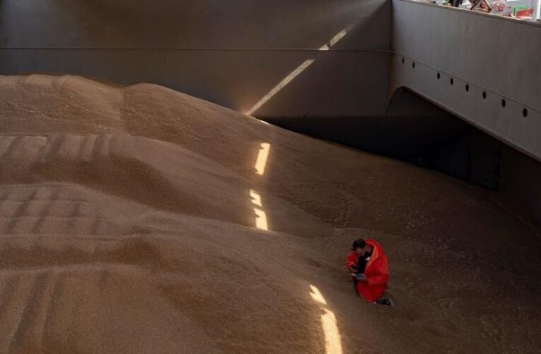 Польща пожалілася в Раду ЄС на агроімпорт з України – ЗМІ