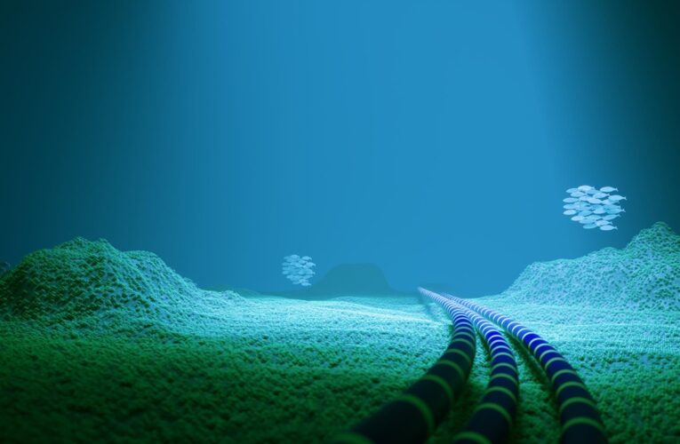 Пошкодження кабелю в Балтійському морі: в Литві повідомили деталі