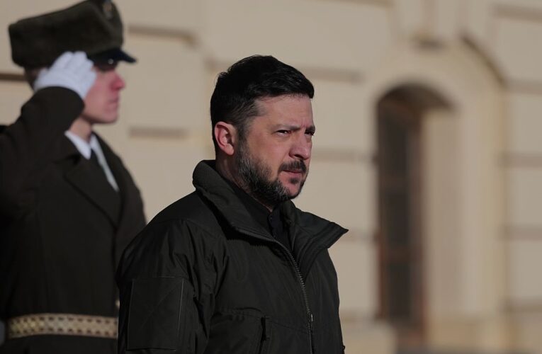 Шпіц Лукашенка має більше прав, ніж народ Білорусі – Зеленський