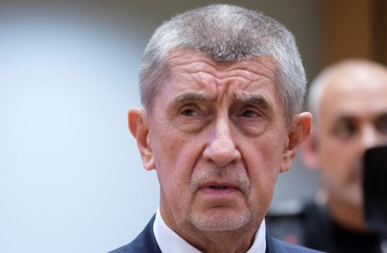 Скандал із заявою чеського спікера: Бабіш розкритикував українського посла