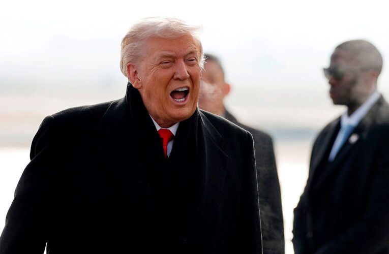 Трамп похвалився своїми “365 перемогами” за рік