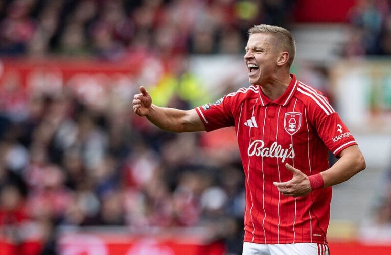 Тренер Ноттінгема дав відповідь щодо майбутнього Зінченка