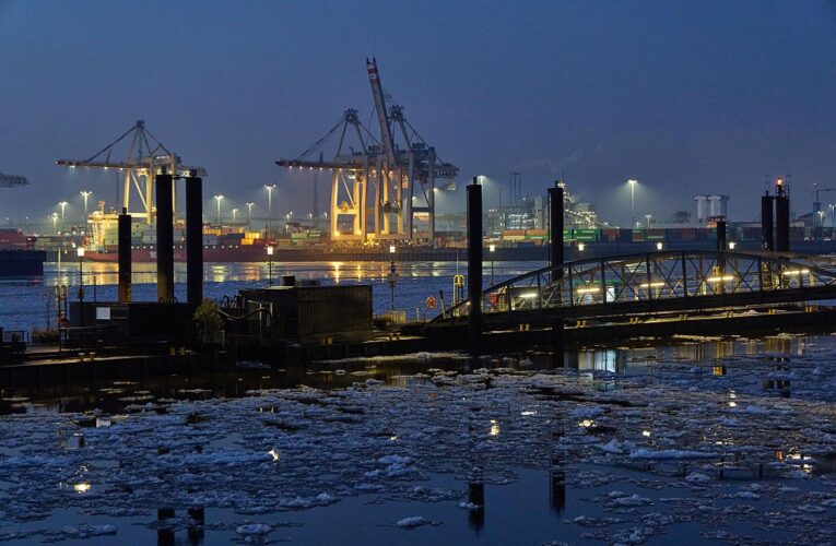 У порту Гамбурга вилучили 400 кг героїну