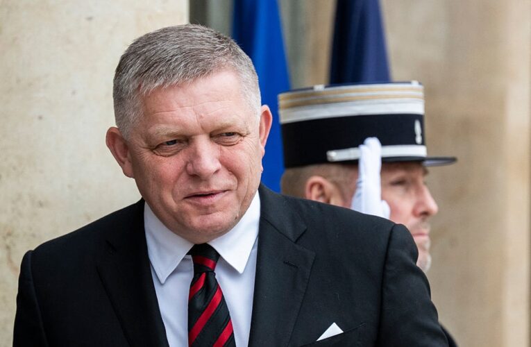 В ЄС проводять розслідування щодо Словаччини через Фіцо