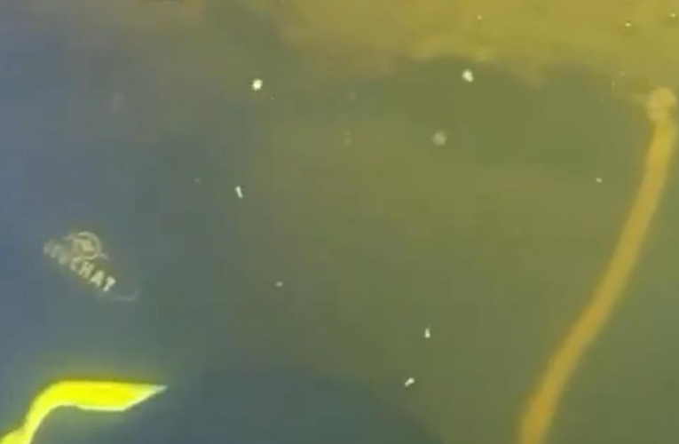 Водолази ДСНС провели підводну операцію при -15&deg;C