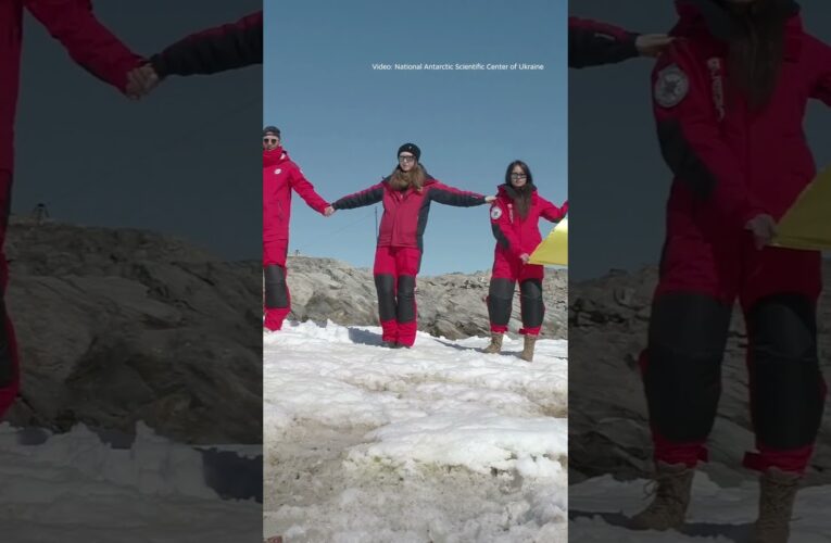 Chain of Unity on Antarctica
