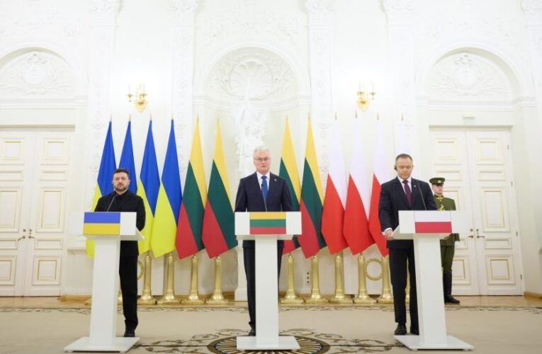 Зеленський назвав ключові теми переговорів у Литві