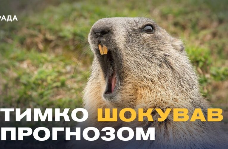 Бабак Тимко зробив прогноз: скільки ще триватиме зима?