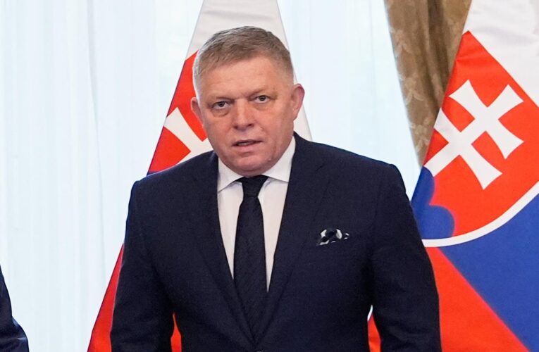 Фіцо зупинив екстрені поставки електрики Україні