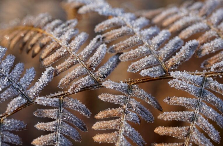 Гороскоп для всіх знаків зодіаку на 20 лютого 2026 року