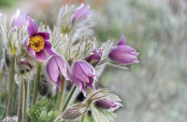 Гороскоп для всіх знаків зодіаку на вихідні 28 лютого &ndash; 1 березня 2026 року