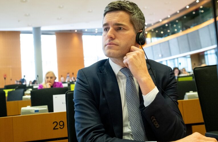 МЗС Нідерландів очолить проукраїнський євродепутат