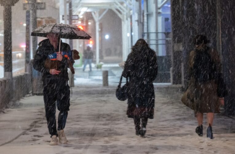 Нью-Йорк накрила снігова буря, у місті зупинився транспорт