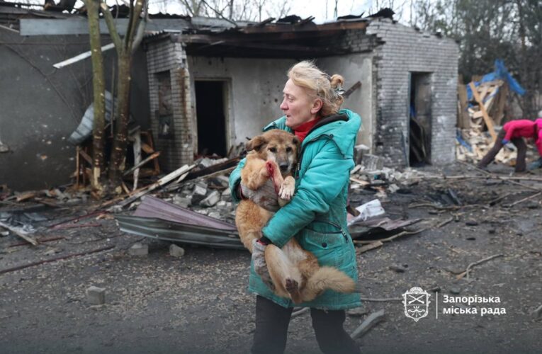 Росіяни вдарили по собачому притулку у Запоріжжі