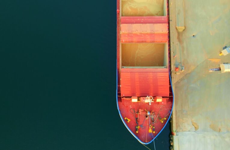 США витісняє українську кукурудзу з ринку ЄС – ЗМІ