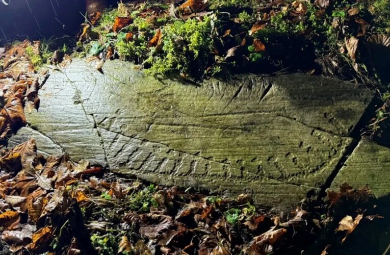 У Норвегії знайшли 3000-річні наскельні різьблення доби бронзи