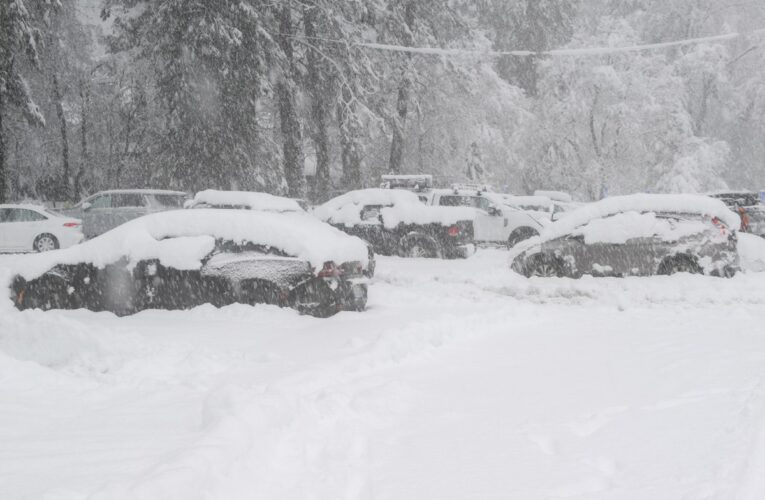 У США лавина накрила групу лижників: багато жертв