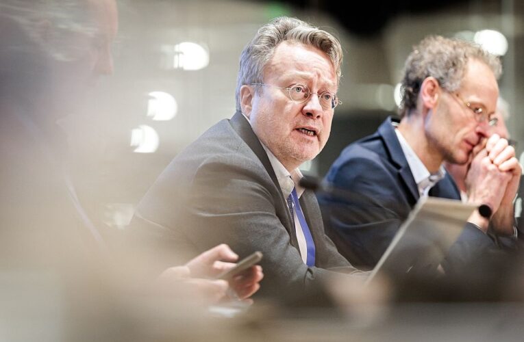 В Нідерландах пояснили перевагу для ЄС від вступу України