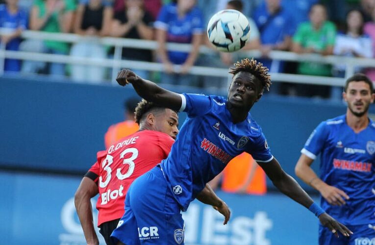 В Олександрії поповнення африканським колоритом