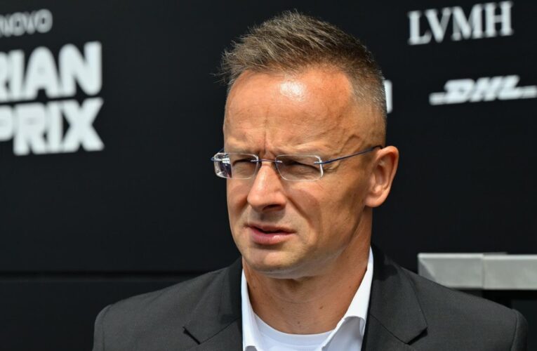 В Угорщині зробили скандальну заяву про мобілізацію в Україні