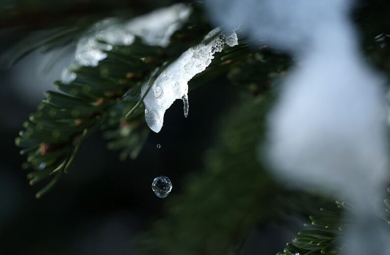 В Україні прогнозують значне потепління