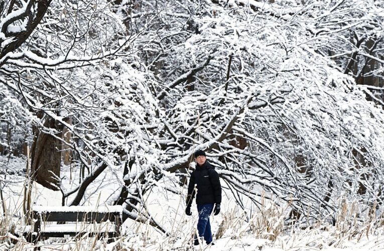 В Японії через снігопади загинули 35 людей