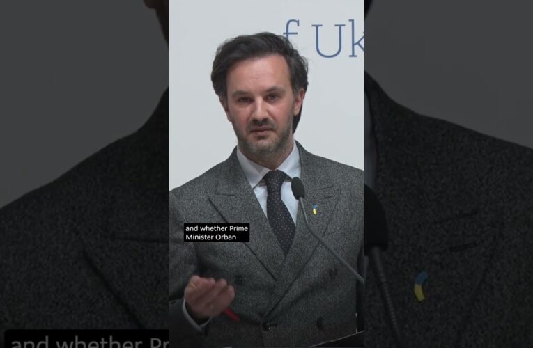 “We regret that Hungary tries to drag Ukraine into its domestic politics” – Heorhii Tykhyi