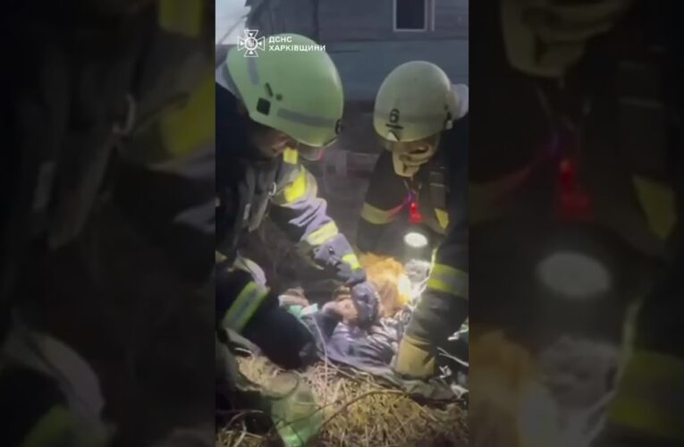 Кожне життя має значення: порятунок хвостиків під час пожежі у Харкові