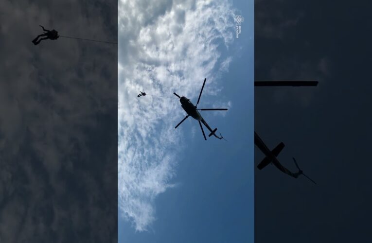 Холодний розум. Чіткі рішення. «Дельта».