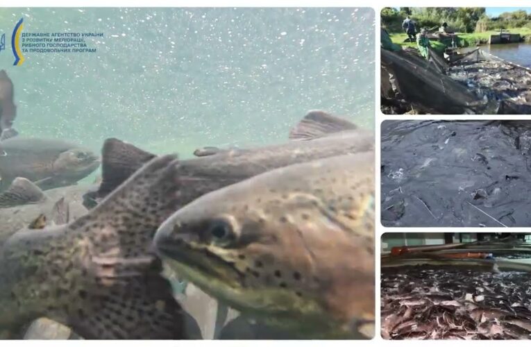 ❗️Аквакультура – один з елементів продовольчої безпеки держави